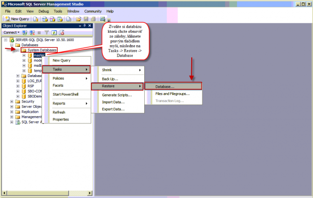 Vstup do obnovy SQL databázy zo zálohy